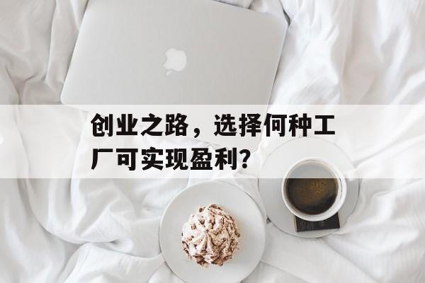 创业之路，选择何种工厂可实现盈利？