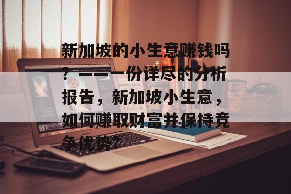 新加坡的小生意赚钱吗？——一份详尽的分析报告，新加坡小生意，如何赚取财富并保持竞争优势?