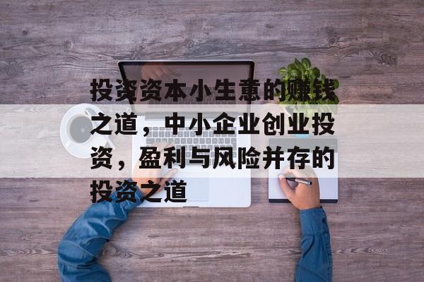 投资资本小生意的赚钱之道,中小企业创业投资,盈利与风险并存的投资之道 投资资本小生意的赚钱之道,中小企业创业投资,盈利与风险并存的投资之道