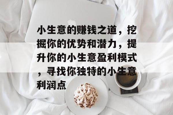 小生意的赚钱之道，挖掘你的优势和潜力，提升你的小生意盈利模式，寻找你独特的小生意利润点