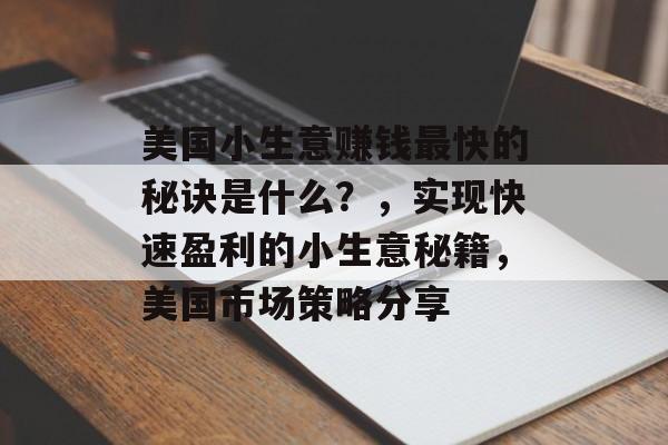 美国小生意赚钱最快的秘诀是什么?,实现快速盈利的小生意秘籍,美国市场策略分享 美国小生意赚钱最快的秘诀是什么?,实现快速盈利的小生意秘籍,美国市场策略分享