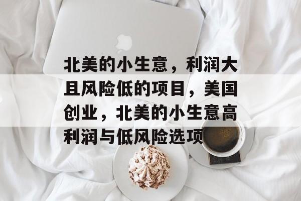 北美的小生意，利润大且风险低的项目，美国创业，北美的小生意高利润与低风险选项