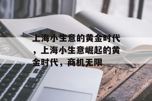 上海小生意的黄金时代，上海小生意崛起的黄金时代，商机无限