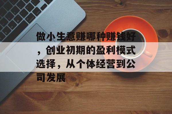 做小生意赚哪种赚钱好,创业初期的盈利模式选择,从个体经营到公司发展 做小生意赚哪种赚钱好,创业初期的盈利模式选择,从个体经营到公司发展