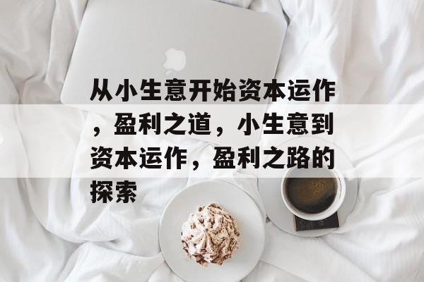 从小生意开始资本运作,盈利之道,小生意到资本运作,盈利之路的探索 从小生意开始资本运作,盈利之道,小生意到资本运作,盈利之路的探索