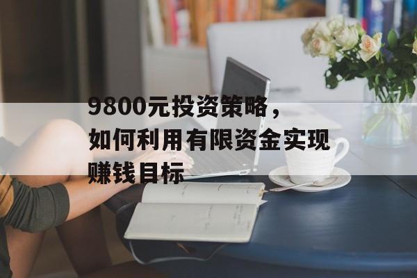 9800元投资策略,如何利用有限资金实现赚钱目标 9800元投资策略,如何利用有限资金实现赚钱目标