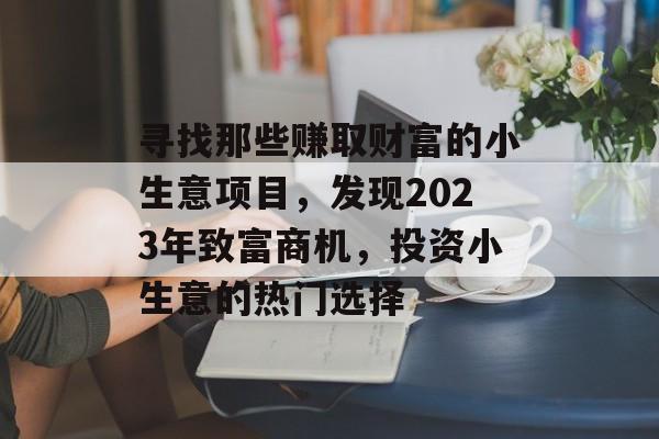 寻找那些赚取财富的小生意项目,发现2023年致富商机,投资小生意的热门选择 寻找那些赚取财富的小生意项目,发现2023年致富商机,投资小生意的热门选择