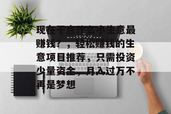 现在干点什么小生意最赚钱？，轻松赚钱的生意项目推荐，只需投资少量资金，月入过万不再是梦想