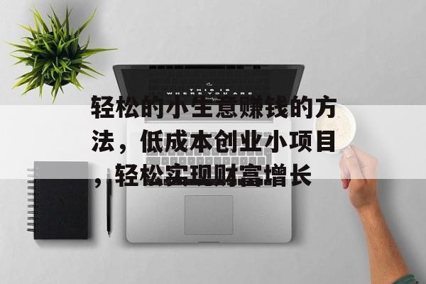 轻松的小生意赚钱的方法,低成本创业小项目,轻松实现财富增长 轻松的小生意赚钱的方法,低成本创业小项目,轻松实现财富增长