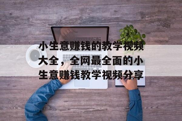 小生意赚钱的教学视频大全，全网最全面的小生意赚钱教学视频分享