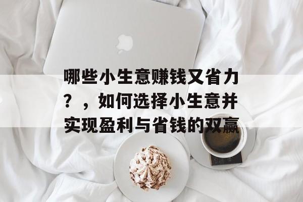 哪些小生意赚钱又省力?,如何选择小生意并实现盈利与省钱的双赢 哪些小生意赚钱又省力?,如何选择小生意并实现盈利与省钱的双赢
