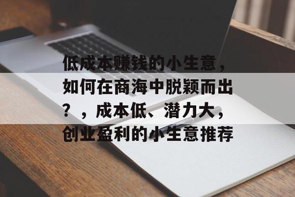 低成本赚钱的小生意,如何在商海中脱颖而出?,成本低、潜力大,创业盈利的小生意推荐 低成本赚钱的小生意,如何在商海中脱颖而出?,成本低、潜力大,创业盈利的小生意推荐