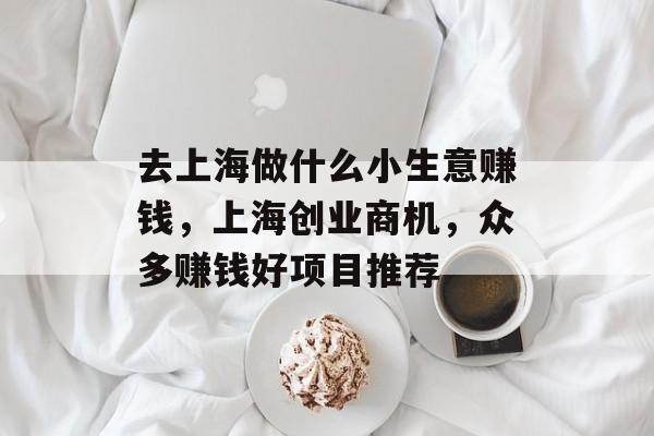 去上海做什么小生意赚钱,上海创业商机,众多赚钱好项目推荐 去上海做什么小生意赚钱,上海创业商机,众多赚钱好项目推荐