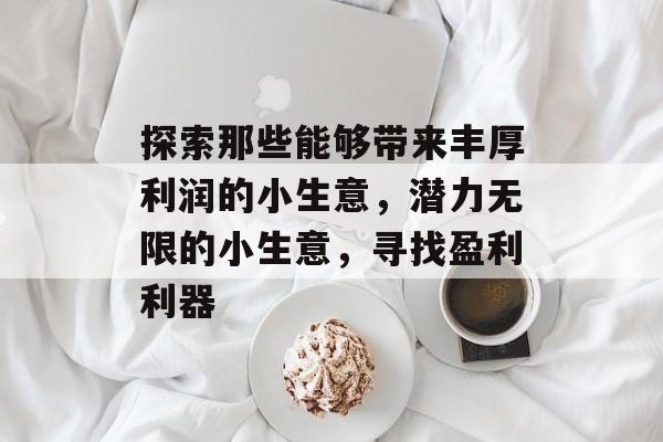 探索那些能够带来丰厚利润的小生意，潜力无限的小生意，寻找盈利利器