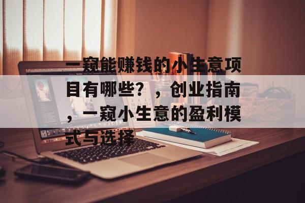 一窥能赚钱的小生意项目有哪些?,创业指南,一窥小生意的盈利模式与选择 一窥能赚钱的小生意项目有哪些?,创业指南,一窥小生意的盈利模式与选择