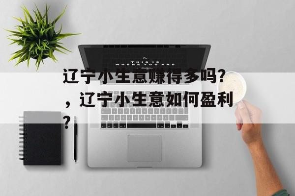 辽宁小生意赚得多吗?,辽宁小生意如何盈利? 辽宁小生意赚得多吗?,辽宁小生意如何盈利?