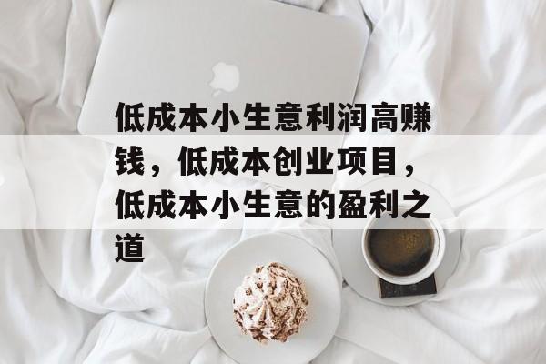 低成本小生意利润高赚钱,低成本创业项目,低成本小生意的盈利之道 低成本小生意利润高赚钱,低成本创业项目,低成本小生意的盈利之道