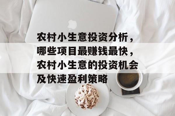 农村小生意投资分析，哪些项目最赚钱最快，农村小生意的投资机会及快速盈利策略