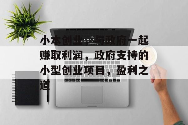 小本创业,与政府一起赚取利润,政府支持的小型创业项目,盈利之道 小本创业,与政府一起赚取利润,政府支持的小型创业项目,盈利之道