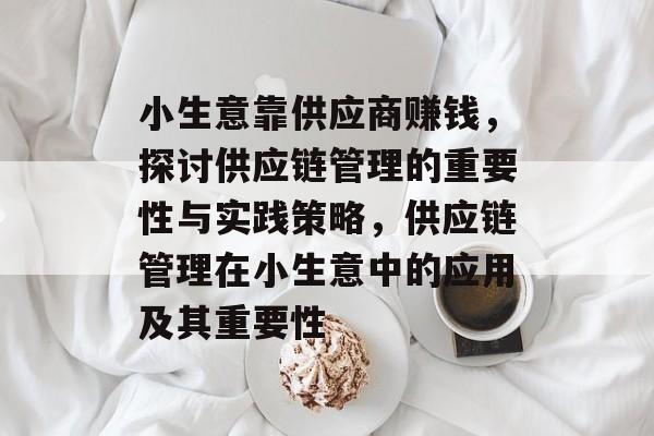 小生意靠供应商赚钱，探讨供应链管理的重要性与实践策略，供应链管理在小生意中的应用及其重要性