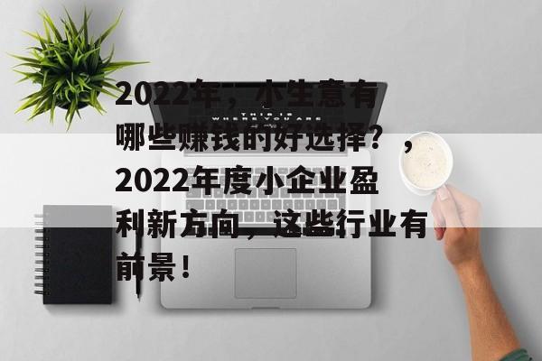 2022年,小生意有哪些赚钱的好选择?,2022年度小企业盈利新方向,这些行业有前景! 2022年,小生意有哪些赚钱的好选择?,2022年度小企业盈利新方向,这些行业有前景!