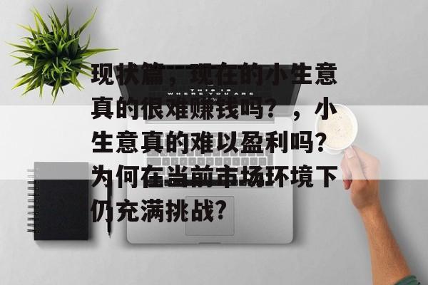 现状篇，现在的小生意真的很难赚钱吗？，小生意真的难以盈利吗？为何在当前市场环境下仍充满挑战?
