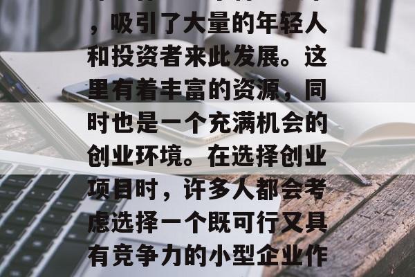 深圳作为一个特区城市，吸引了大量的年轻人和投资者来此发展。这里有着丰富的资源，同时也是一个充满机会的创业环境。在选择创业项目时，许多人都会考虑选择一个既可行又具有竞争力的小型企业作为自己的发展方向。