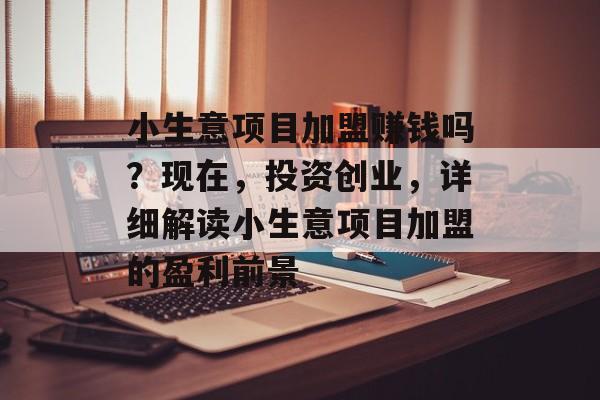小生意项目加盟赚钱吗?现在,投资创业,详细解读小生意项目加盟的盈利前景 小生意项目加盟赚钱吗?现在,投资创业,详细解读小生意项目加盟的盈利前景