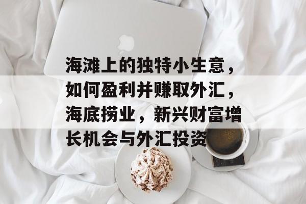 海滩上的独特小生意,如何盈利并赚取外汇,海底捞业,新兴财富增长机会与外汇投资 海滩上的独特小生意,如何盈利并赚取外汇,海底捞业,新兴财富增长机会与外汇投资
