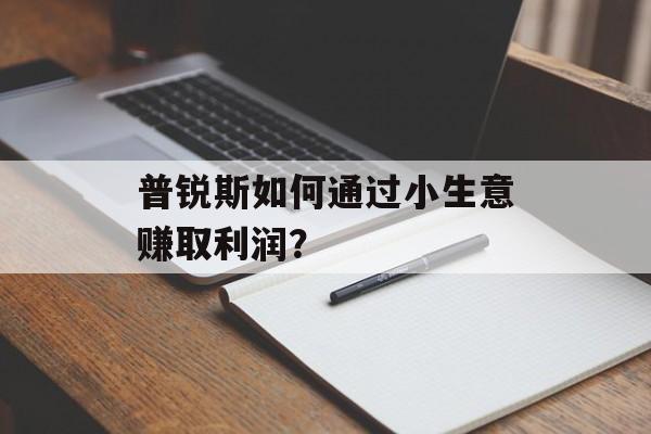 普锐斯如何通过小生意赚取利润? 普锐斯如何通过小生意赚取利润?