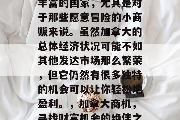 加拿大是一个投资机会丰富的国家,尤其是对于那些愿意冒险的小商贩来说。虽然加拿大的总体经济状况可能不如其他发达市场那么繁荣,但它仍然有很多独特的机会可以让你轻松地盈利。,加拿大商机,寻找财富机会的绝佳之地 加拿大是一个投资机会丰富的国家,尤其是对于那些愿意冒险的小商贩来说。虽然加拿大的总体经济状况可能不如其他发达市场那么繁荣,但它仍然有很多独特的机会可以让你轻松地盈利。,加拿大商机,寻找财富机会的绝佳之地