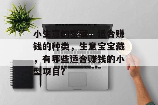 小生意的宝藏，适合赚钱的种类，生意宝宝藏，有哪些适合赚钱的小型项目？