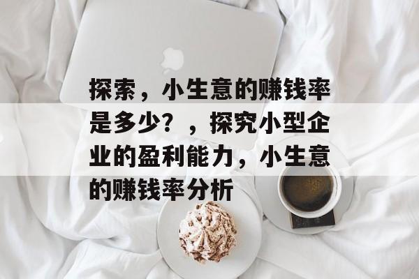 探索，小生意的赚钱率是多少？，探究小型企业的盈利能力，小生意的赚钱率分析