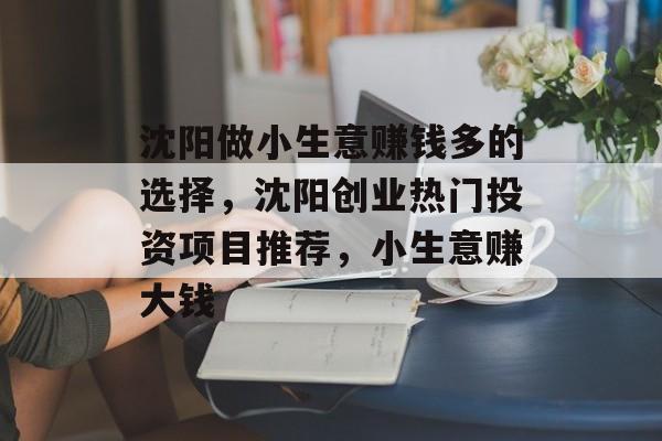 沈阳做小生意赚钱多的选择,沈阳创业热门投资项目推荐,小生意赚大钱 沈阳做小生意赚钱多的选择,沈阳创业热门投资项目推荐,小生意赚大钱