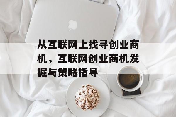 从互联网上找寻创业商机,互联网创业商机发掘与策略指导 从互联网上找寻创业商机,互联网创业商机发掘与策略指导