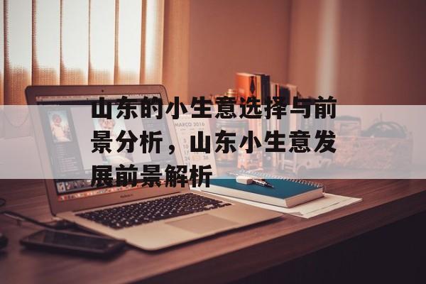 山东的小生意选择与前景分析,山东小生意发展前景解析 山东的小生意选择与前景分析,山东小生意发展前景解析