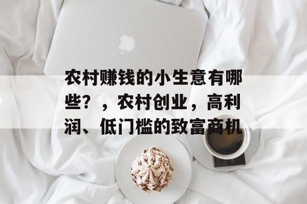 农村赚钱的小生意有哪些?,农村创业,高利润、低门槛的致富商机 农村赚钱的小生意有哪些?,农村创业,高利润、低门槛的致富商机