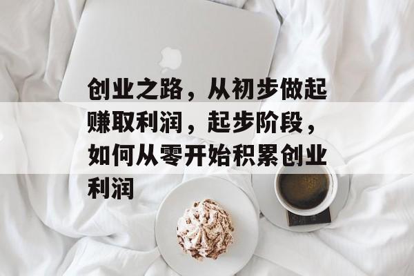 创业之路，从初步做起赚取利润，起步阶段，如何从零开始积累创业利润