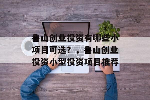 鲁山创业投资有哪些小项目可选？，鲁山创业投资小型投资项目推荐