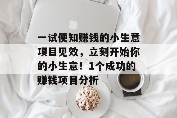 一试便知赚钱的小生意项目见效,立刻开始你的小生意!1个成功的赚钱项目分析 一试便知赚钱的小生意项目见效,立刻开始你的小生意!1个成功的赚钱项目分析