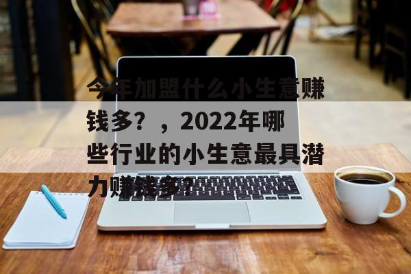 今年加盟什么小生意赚钱多？，2022年哪些行业的小生意最具潜力赚钱多？