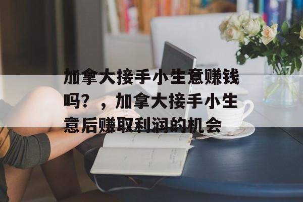 加拿大接手小生意赚钱吗?,加拿大接手小生意后赚取利润的机会 加拿大接手小生意赚钱吗?,加拿大接手小生意后赚取利润的机会