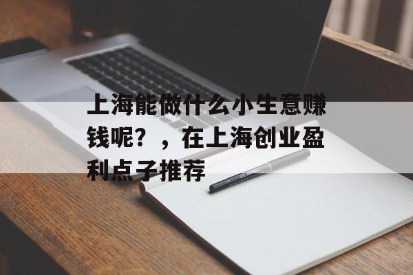 上海能做什么小生意赚钱呢?,在上海创业盈利点子推荐 上海能做什么小生意赚钱呢?,在上海创业盈利点子推荐