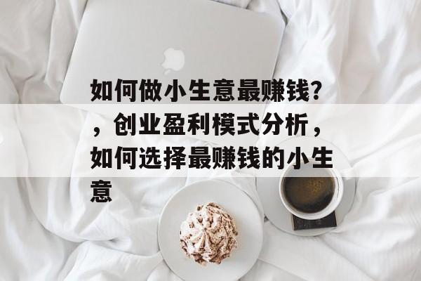 如何做小生意最赚钱?,创业盈利模式分析,如何选择最赚钱的小生意 如何做小生意最赚钱?,创业盈利模式分析,如何选择最赚钱的小生意