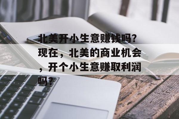 北美开小生意赚钱吗?现在,北美的商业机会,开个小生意赚取利润吗? 北美开小生意赚钱吗?现在,北美的商业机会,开个小生意赚取利润吗?