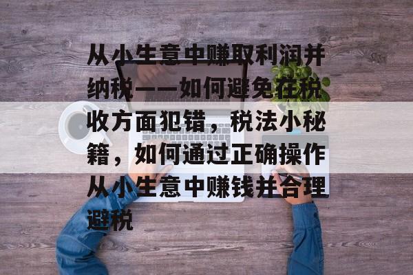 从小生意中赚取利润并纳税——如何避免在税收方面犯错，税法小秘籍，如何通过正确操作从小生意中赚钱并合理避税