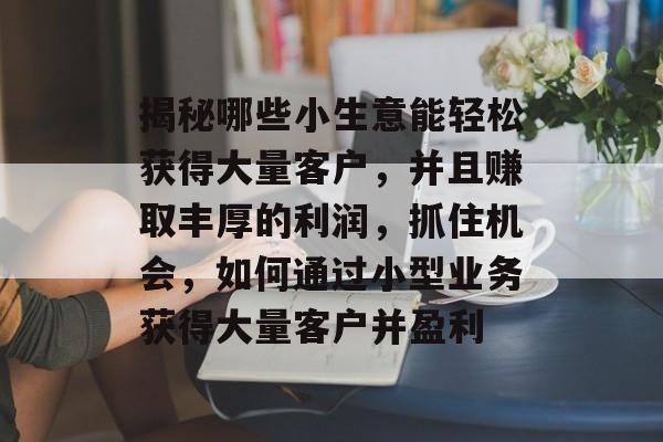 揭秘哪些小生意能轻松获得大量客户，并且赚取丰厚的利润，抓住机会，如何通过小型业务获得大量客户并盈利