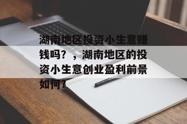 湖南地区投资小生意赚钱吗？，湖南地区的投资小生意创业盈利前景如何?