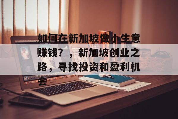 如何在新加坡做小生意赚钱？，新加坡创业之路，寻找投资和盈利机会