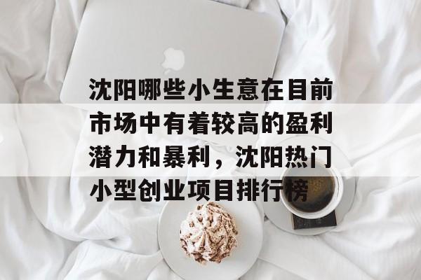沈阳哪些小生意在目前市场中有着较高的盈利潜力和暴利,沈阳热门小型创业项目排行榜 沈阳哪些小生意在目前市场中有着较高的盈利潜力和暴利,沈阳热门小型创业项目排行榜